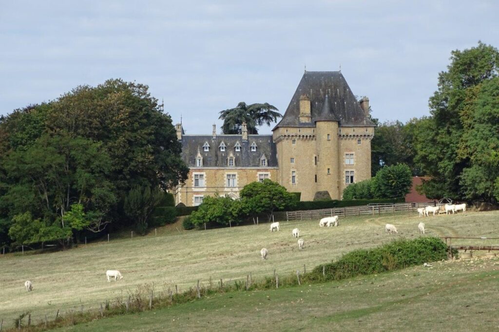 Château du Tremblay à Isenay