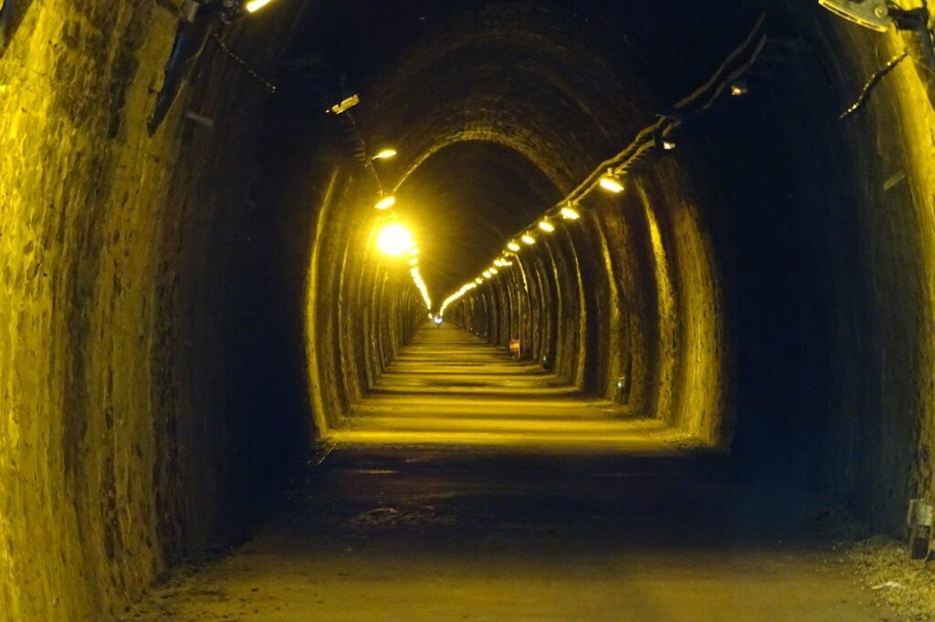 Tunnel du bois clair